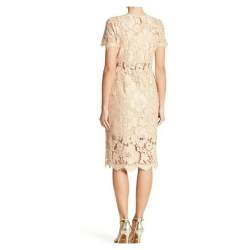 Short Sleeve Sheath Midi Dress 
