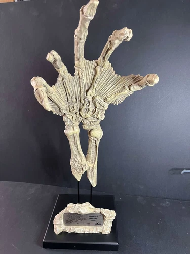 Universal Monsters 23" Fossilized Creature from The Black Lagoon Hand 238 of 500