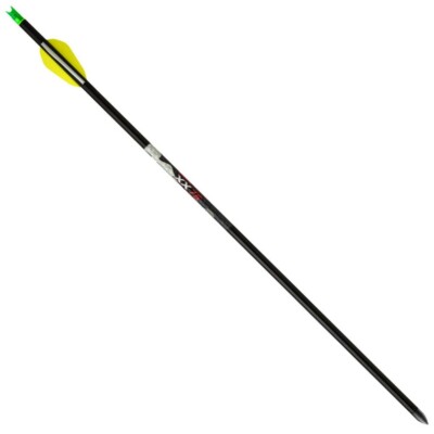 Ten Point Alpha-Brite Aluminum Arrows 20  3 Pack