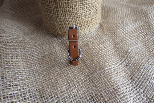Ferret collar in real leather. - Picture 10 of 19
