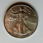 2020 $1 American Silver Eagle 1 oz .999 Fine Silver BU Coin