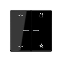 Jung Enet Funk-Steuertaste Fm A 1701 P Sw Intelligent FMA1701PSW Enet