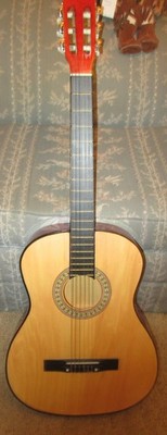 Vintage Encore  Classic Acoustic Guitar  40'' WITH GIG CASE