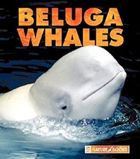 Beluga Whales Hardcover Mary Berendes