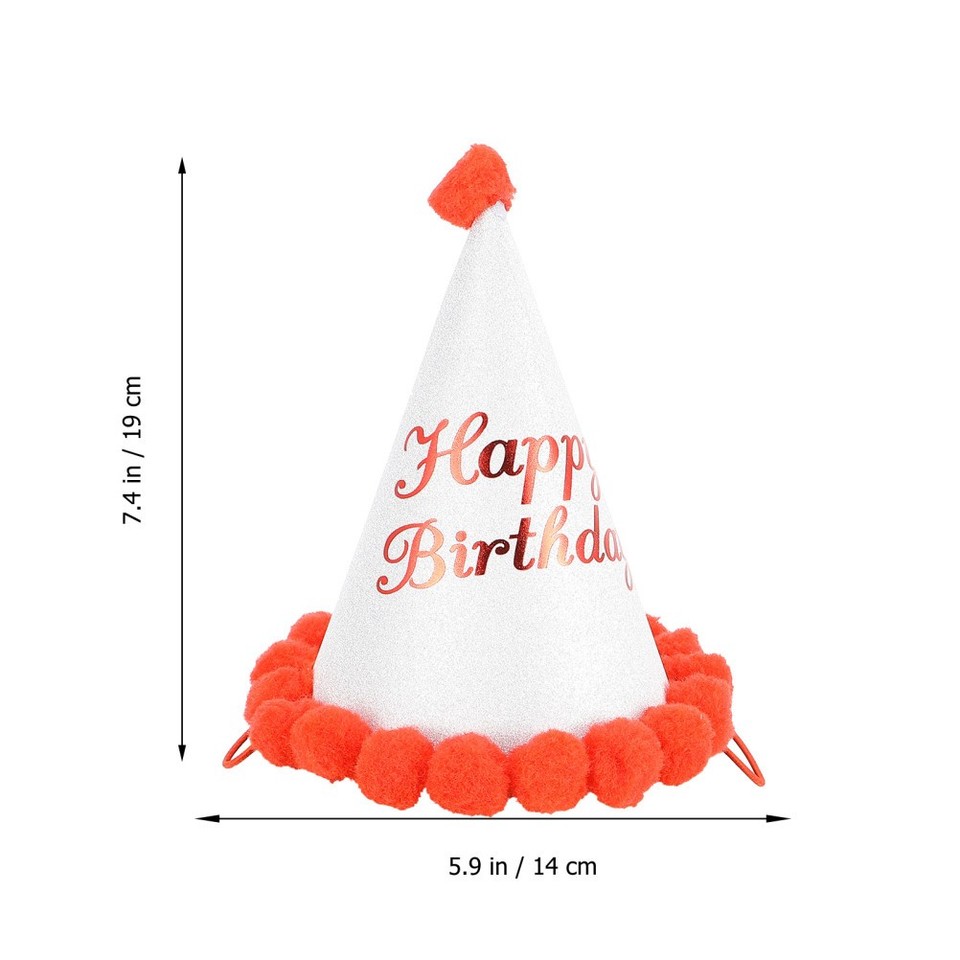 10 Pcs Pompom Birthday Hat Decorations For Girls Cute Party Hats EBay 10-pcs-pompom-birthday-hat-decorations-for-girls-cute-party-hats-ebay