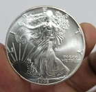 American Silver Eagle 1995 Fine Silver Bullion Coin 1 oz .999