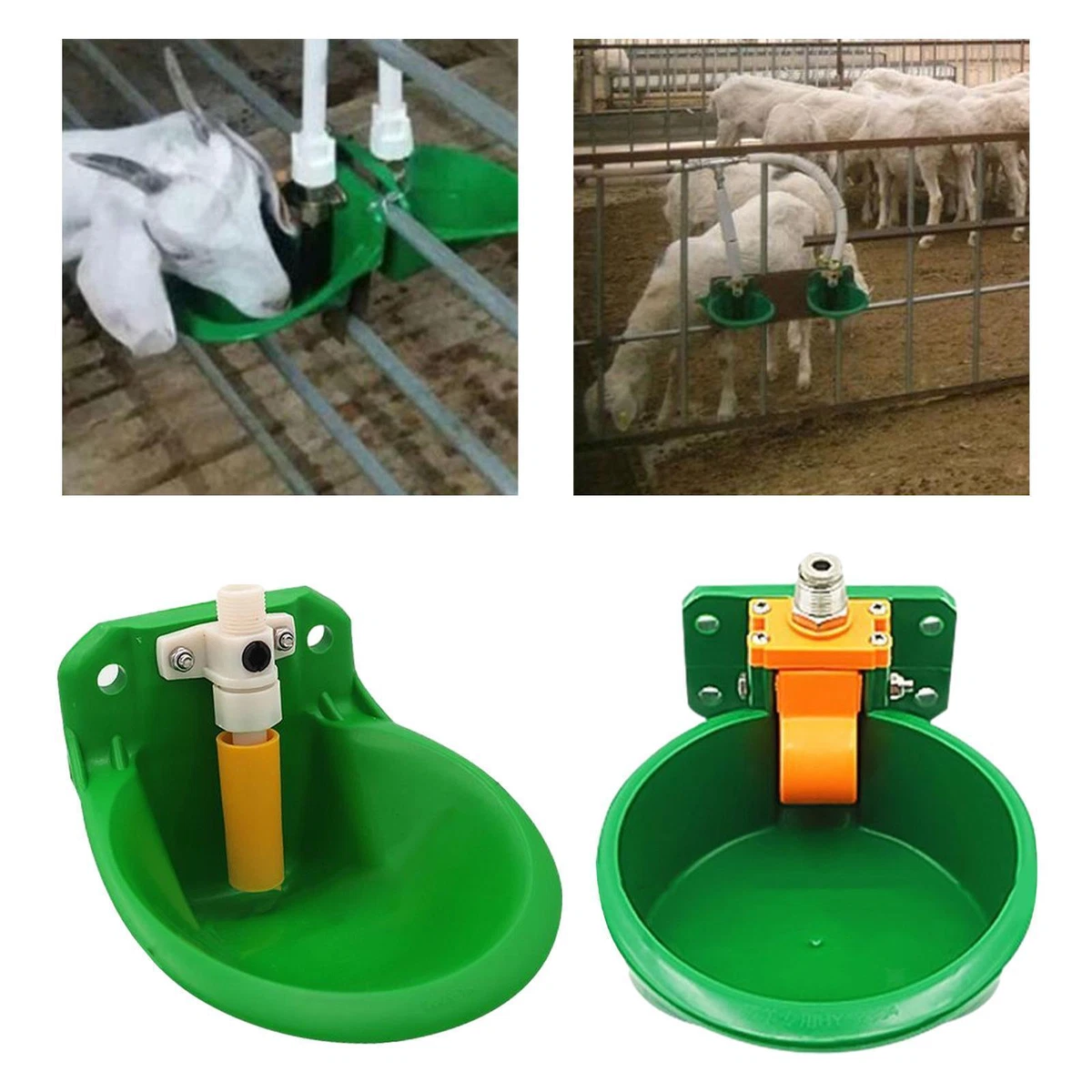 Automatic sheep clearance feeder