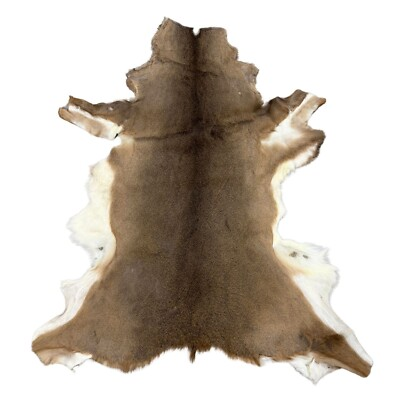 #ad Hair On Deerskin Hide Rug Tanned Deer Hide with Hair Grade A to C $99.95