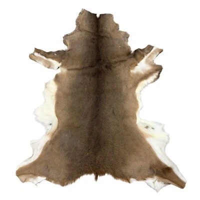 Haar auf Hirschleder Fell Teppich - gegerbtes Hirschfell mit Haaren - Klasse A bis C  - Bild 1 von 4