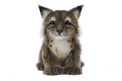 HANSA 198572 Lynx Cub,Other Stuffed Animals