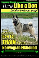 Norwegian Elkhound, Norwegian Elkhound Training AAA AKC - Think L
