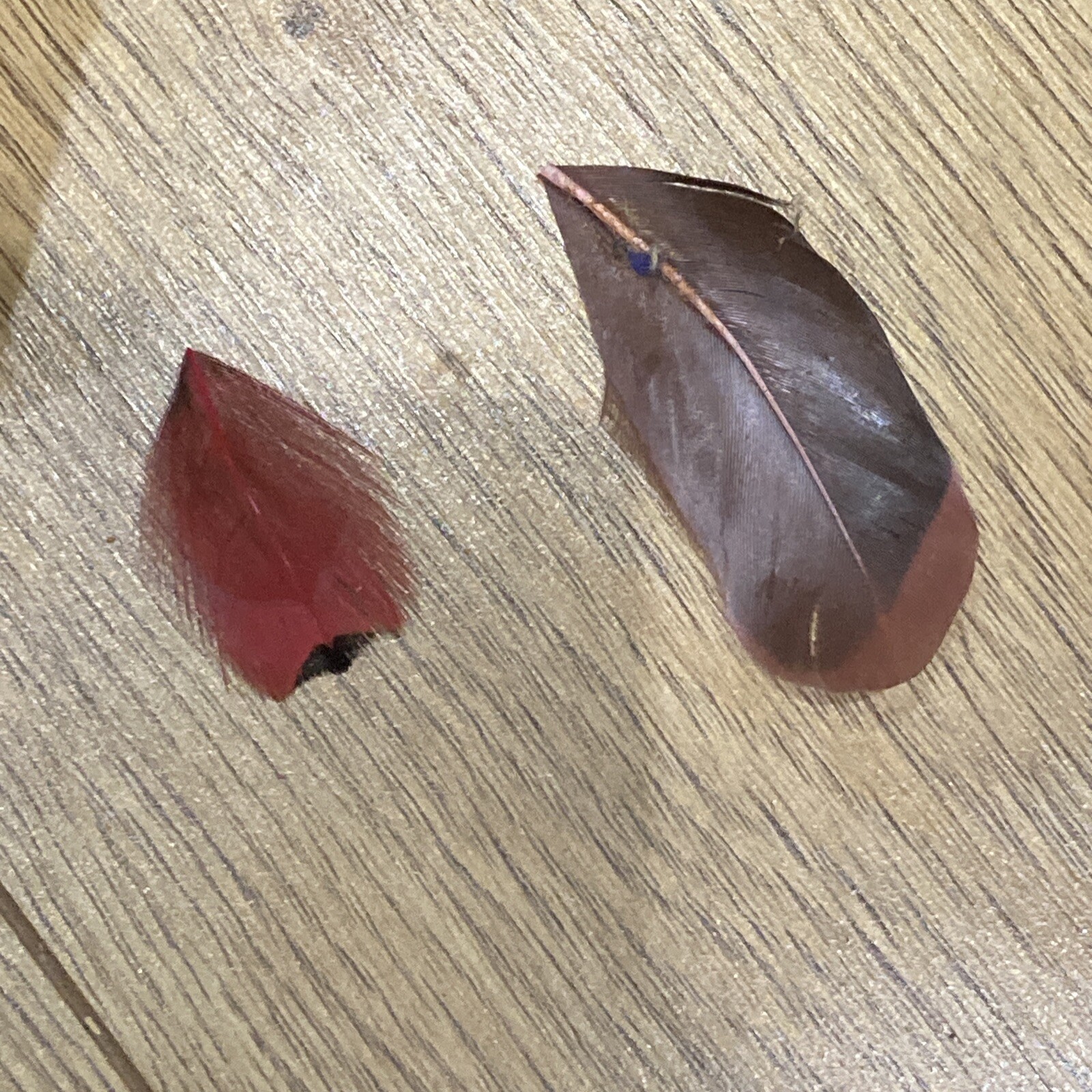 Vintage 1950s Multi-Coloured Feather Hat 13