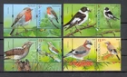 Moldova 2026  Songbirds Birds 4v**MNH + 4 Labels