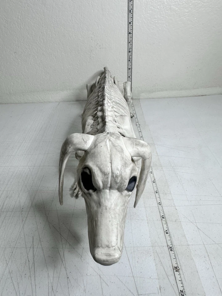Hyde & EEK! Boutique Dachshund Skeleton Halloween Posable Prop 22" Dog Decor - Image 4 of 4