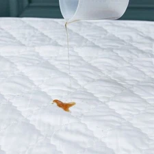 2023 Quilted cotton waterproof bed pad, solid breathable mattress cover