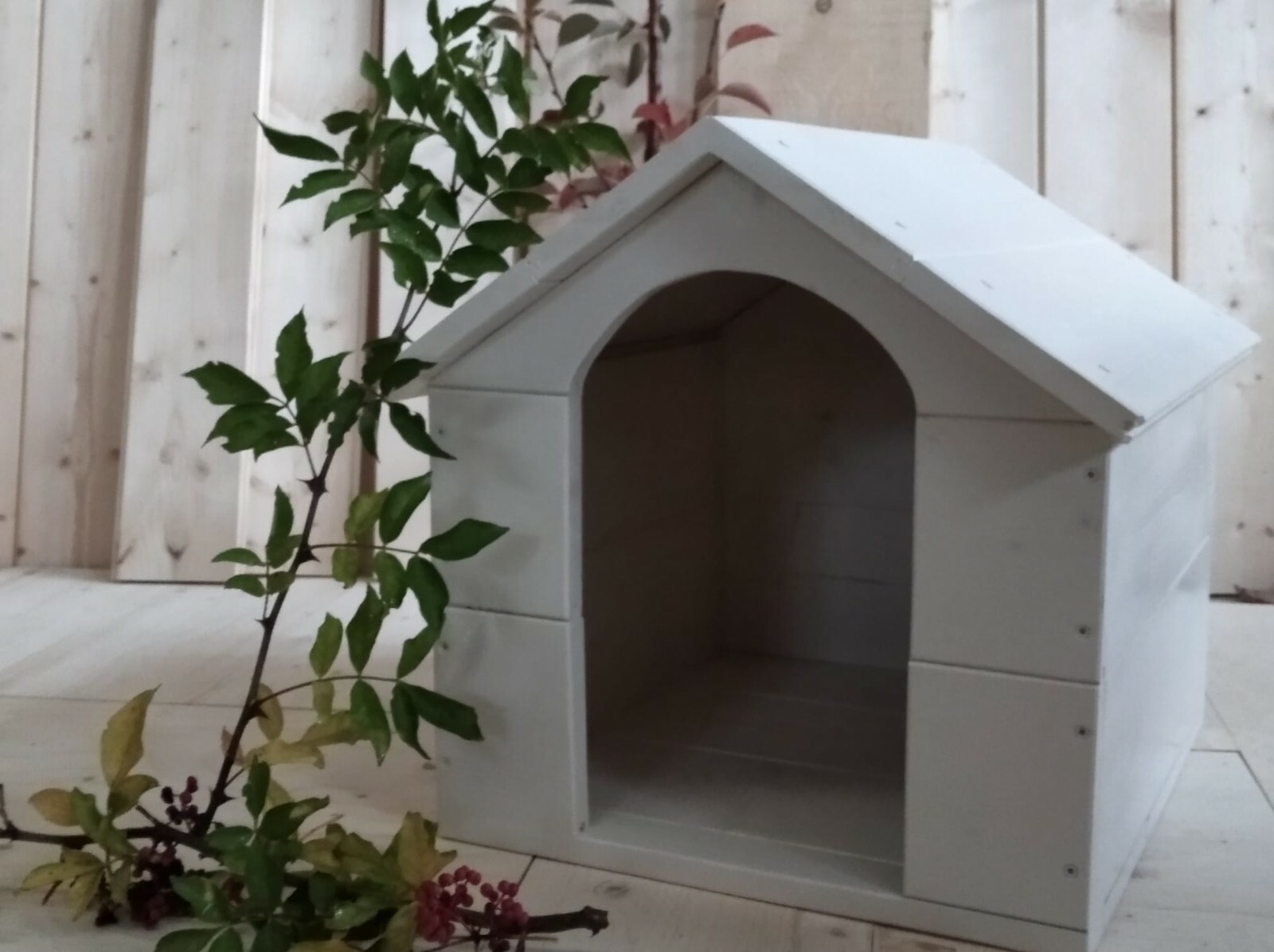 Cuccia Veronica: Il Nido d'Amore per il tuo Gatto o Cane | Comfort Premium