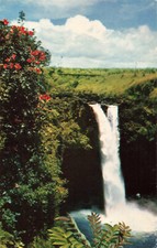 Postcard Rainbow Falls African Tulip Trees Hilo Hawaii Island HI