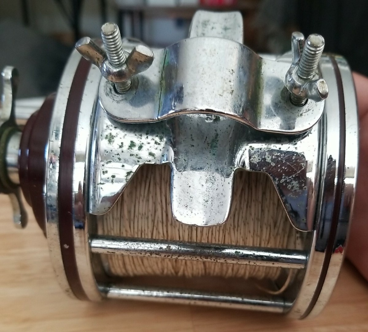 Vintage Penn Reels SPECIAL SENATOR 114H 6/0 Conventional Vintage Penn Reels SPECIAL SENATOR 114H 6/0 Conventional