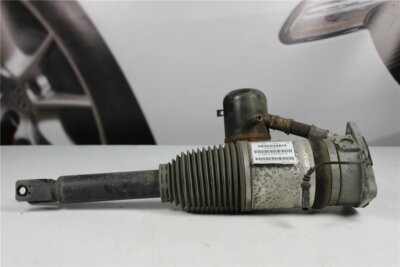 Audi A8 4E S8 Stoßdämpfer Luftfahrwerk hinten links 4E0616001M