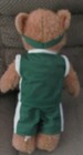Boston Celtics NBA 2008 Bear Plush with Basketball Uniform & Green Headband — photo 2