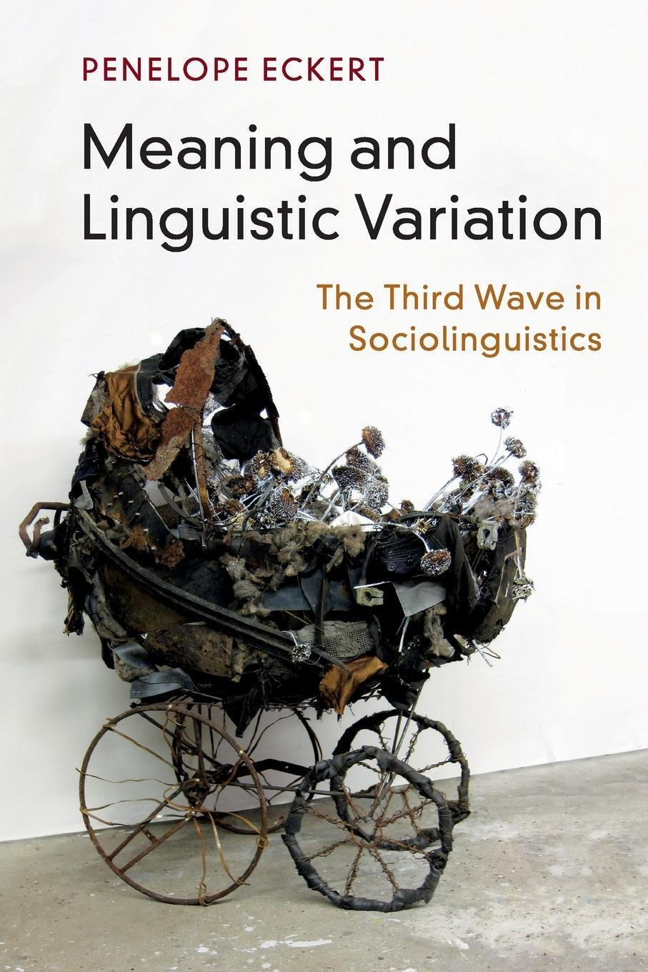 Thumbnail - Meaning And Linguistic Variation Penelope Eckert Taschenbuch Paperback