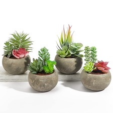 Succulents Plants Artificial 4 Pack, Mini Fake Succulents in Pots, Assorted S...