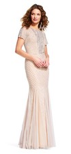 Adrianna Papell Silver/Nude Short Sleeve Embellished Mermaid Dress  10   349