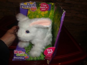 toy bunny that moves