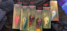 6 Rapala DT crankbaits