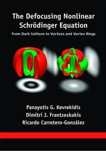 The Defocusing Nonlinear Schrödinger Equation: From Dark (2015)