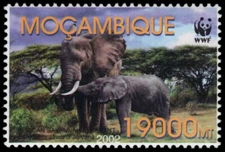 MOZAMBIQUE 1587c - African Elephant "Loxodonta africana" WWF (pb48619)