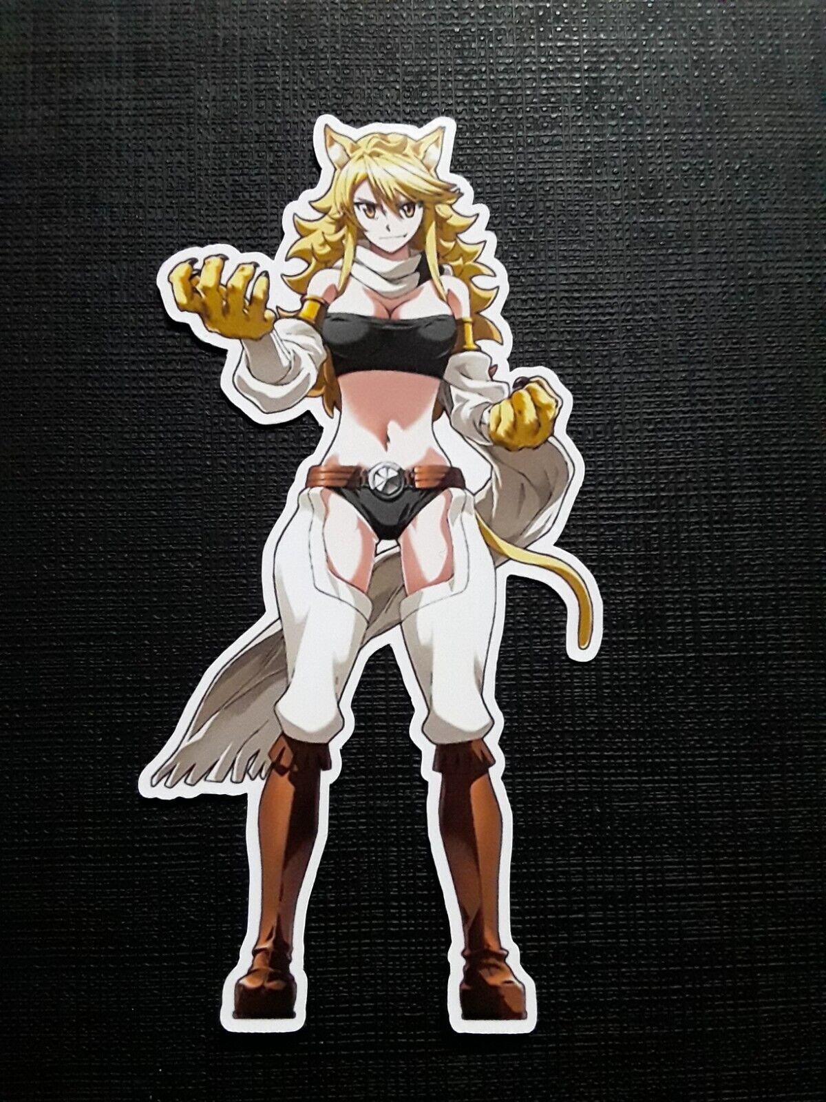 Leone - Akame ga kill Spiral Notebook for Sale by FalChi