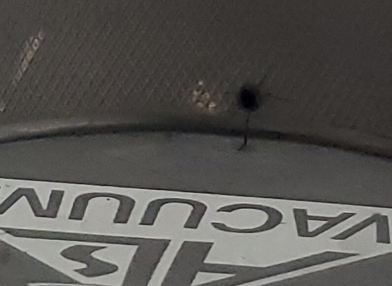 Picture 6 of 6