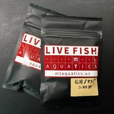 MT Aquatics Premium Shrimp Mineral Salt GH/KH+ | Nano Tank Remineralizer