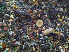 Independent's Choice Feed® bird food Fortified Parrot 40 lbs