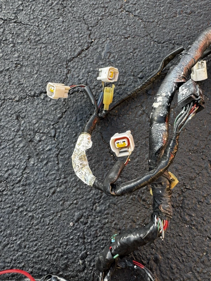 00-01 Honda CBR929RR CBR 929RRR CBR 929RRR CBR900RR Cableado Cable Corte OEM Foto 4 de 4