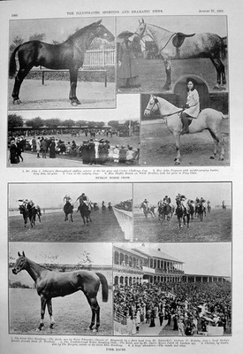 Old Dublin Horse Show John Gilmour York Races Claretoi C Ringstead191 20th