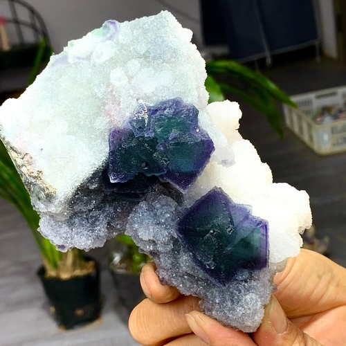 1.20LB Rare Transparent blue-green Cube Fluorite Mineral Crystal ...