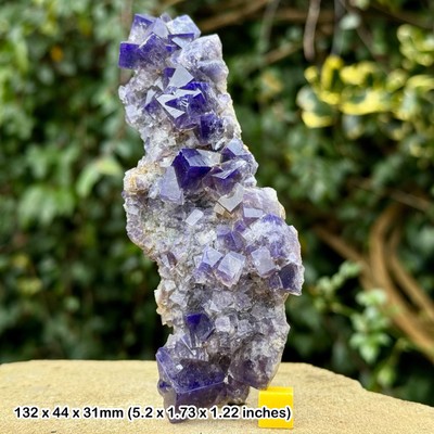 Seltener britischer Fluorit Kristall, Fraser Huish Mine, Rookhope, Weardale, Durham, UK
