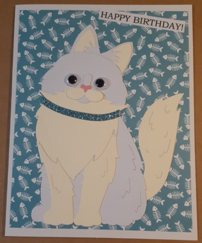 cat funny birthday white cat birthday card