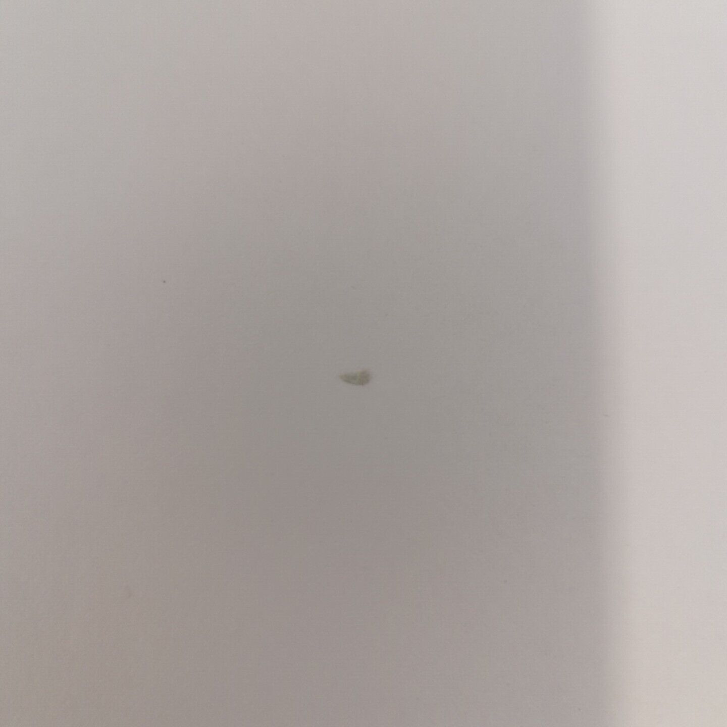 Picture 11 of 11