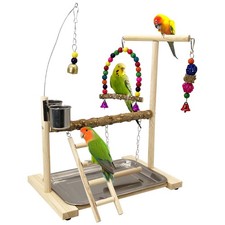 Bird Playground Parrots Play Stand Birdcage Play Stand Play Gym Parakeet