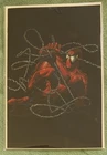 SPIDER-MAN #1 • MCFARLANE • MEXICAN FOIL PANINI • MEGACON 2026 VARIANT • LTD 1K