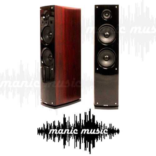 Ashtec HIFI Home Theatre Tower Speakers 