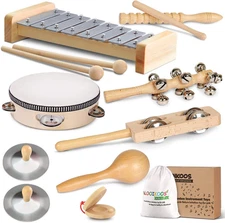 LOOIKOOS Toddler Musical Instruments, Eco Friendly Music Set for Kids Preschool