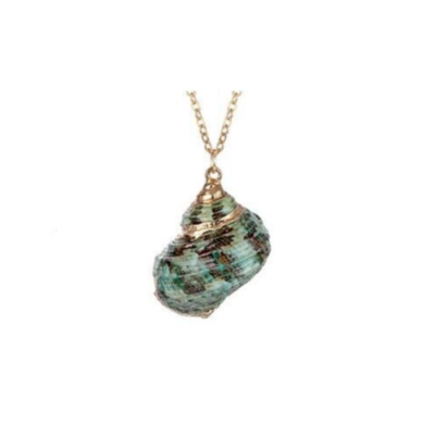 Collier Pendentif Coquillage Véritable Sur Chaîne Laiton - Homme/Femme Vert Naturel