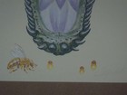 Bild 4 von 9