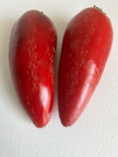 30 Jumbo Jalape o Pepper Seeds , Stuffer, Heirloom