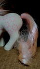 Bild 12 von 14