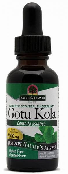 Nature's Answer Gotu Kola Extract 2,000mg 30ml, Immune System Support - Image 2